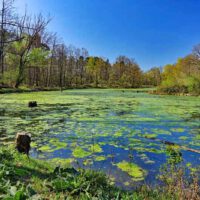 Wandern im Naturschutzgebiet Hainberg bei Nürnberg (Landkreis Fürth) 29 See im Naturschutzgebiet Hainberg in Oberasbach im Landkreis Fürth