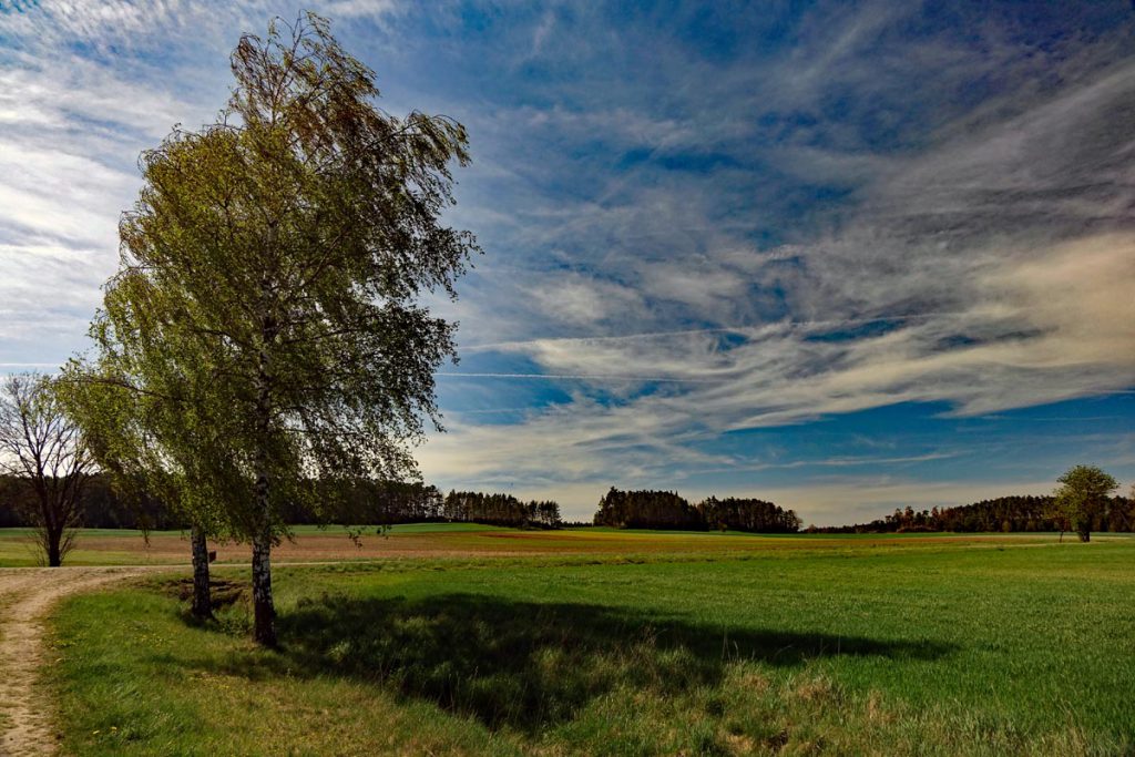 Eibachgrund-Wanderweg Nr. 8 bei Hilpoltstein (Landkreis Roth) 18 eibachgrund 8 hilpoltstein wandern