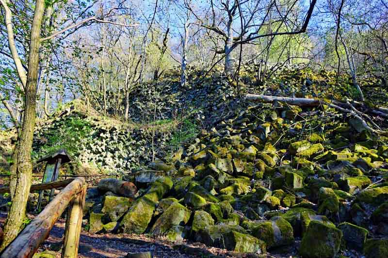 Wandern auf dem Naturlehrpfad Basaltmeer Gangolfsberg (Rhön) 8 Basaltprismenwand auf dem Naturlehrpfad Gangolfsberg im Biospärenreservat Rhön