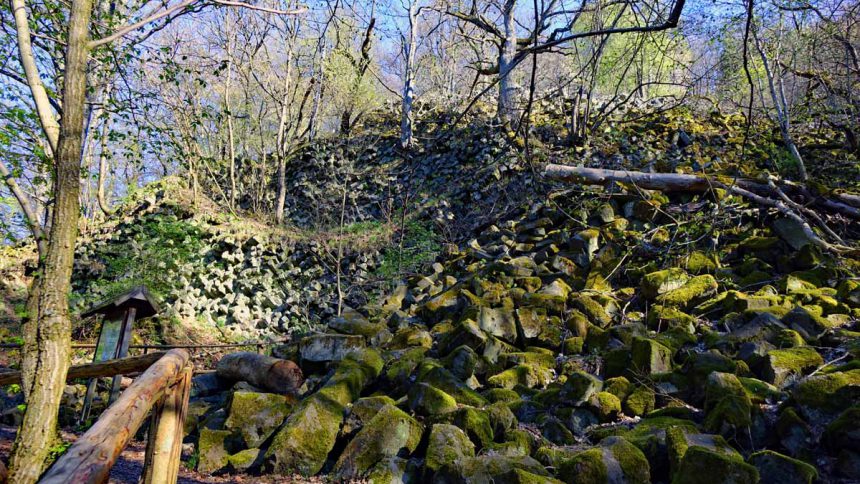Basaltprismenwand auf dem Naturlehrpfad Gangolfsberg im Biospärenreservat Rhön