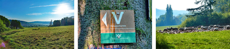 markierung vorgeschichtsweg thalmässing