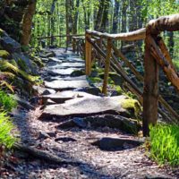 Wandern auf dem Naturlehrpfad Basaltmeer Gangolfsberg (Rhön) 6 naturlehrpfad gangolfsberg wandern rhön