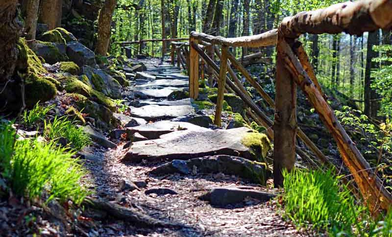 Wandern auf dem Naturlehrpfad Basaltmeer Gangolfsberg (Rhön) 2 naturlehrpfad gangolfsberg wandern rhön