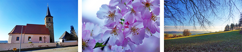 Kurze Wanderungen bis 5 km im Landkreis Roth 3 schlossberg rundweg heideck wandern altmühltal