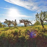 vorgeschichtsweg thalmässing archäologischer wanderweg