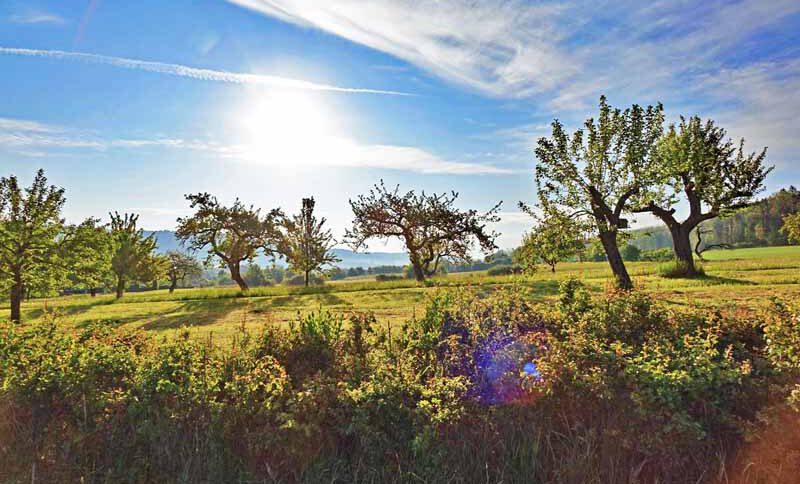 Halbtagestouren über 10 km im Landkreis Roth 2 vorgeschichtsweg thalmässing archäologischer wanderweg
