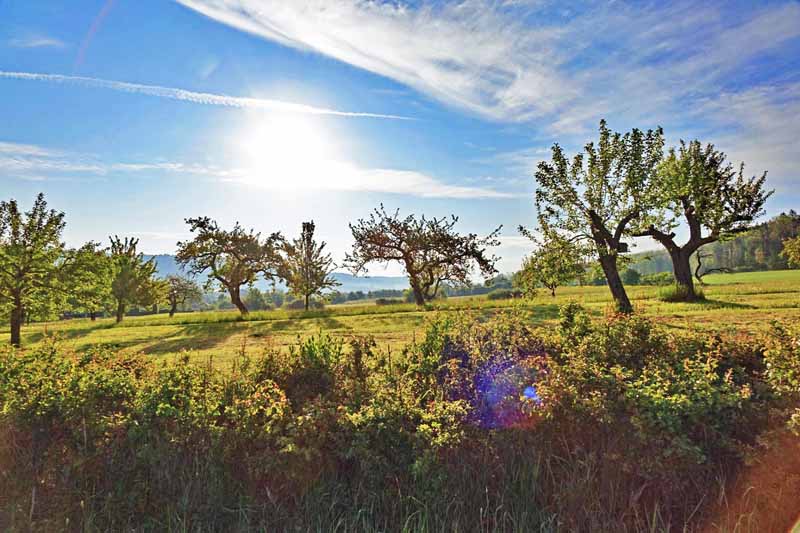 vorgeschichtsweg thalmässing archäologischer wanderweg