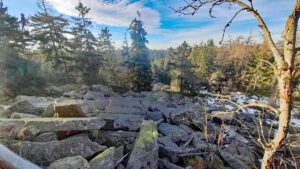 Waldhistorischer Lehrpfad im Naturpark Steinwald (Oberpfalz) 17 blockhalde am saubadfelsen