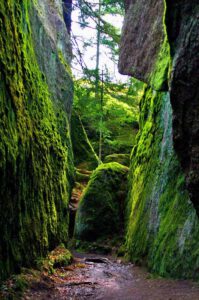 leuchtmoos felsenlabyrinth luisenburg fichtelgebirge steinwald
