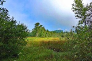 Im Land der tausend Teiche - Wanderung durch die Tirschenreuther Teichpfanne zur Himmelsleiter (Oberpfalz) 38 oberpfälzer wald prackendorfer kulzer moos wandern lerhpfad bayern