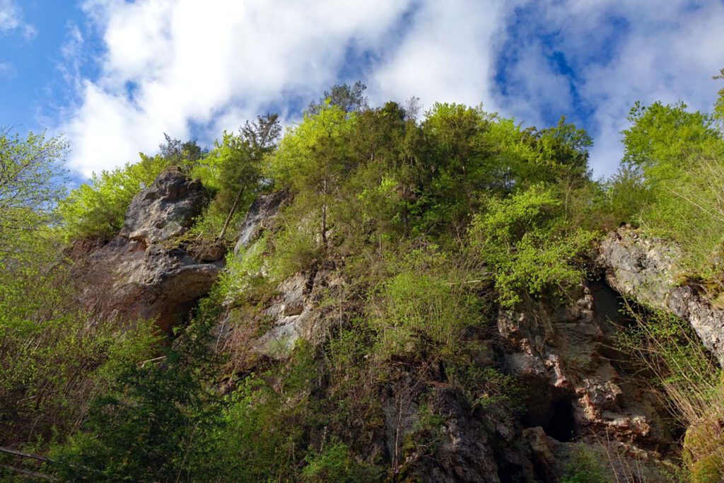 Rundwanderung von der Riesenburg zum Quackenschloss im Wiesenttal (Landkreis Forchheim) 18 Blick vom Parkplatz an der Wiesent zur Versturzhöhle Riesenburg in der Fränkischen Schweiz