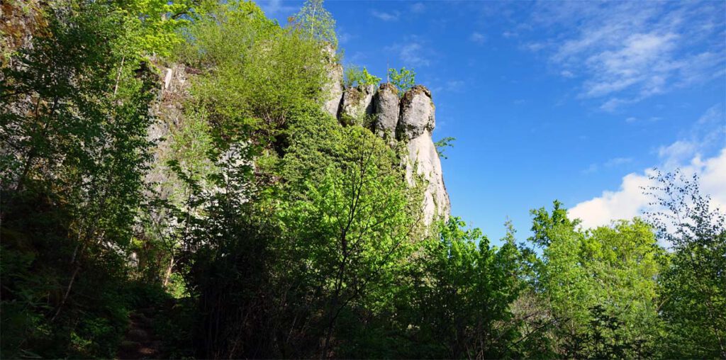 Rundwanderung von der Riesenburg zum Quackenschloss im Wiesenttal (Landkreis Forchheim) 9 Von Weitem ist die Höhlenruine Quackenburg nicht zu erkennen - sie liegt versteckt hinter den Bäumen