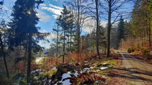 Waldhistorischer Lehrpfad im Naturpark Steinwald (Oberpfalz) 12 wandern steinwald pfaben erbendorf oberpfalz