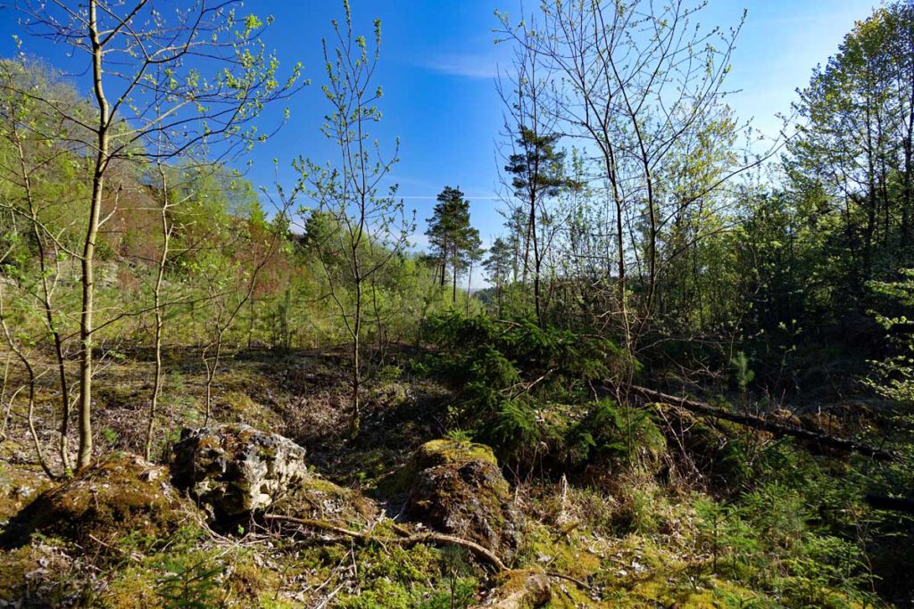 Rundwanderweg von Velden zur Petershöhle und Burg Hartenstein (Landkreis Nürnberger Land) 11 Wanderung Petershöhle Hartenstein Velden Nürnberger Land