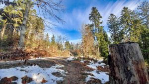 Waldhistorischer Lehrpfad im Naturpark Steinwald (Oberpfalz) 25 winter naturpark steinwald wandern