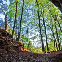 Rundwanderweg von Velden zur Petershöhle und Burg Hartenstein (Landkreis Nürnberger Land) 34 velden hartenstein petershöhle fränkische schweiz veldensteiner forst