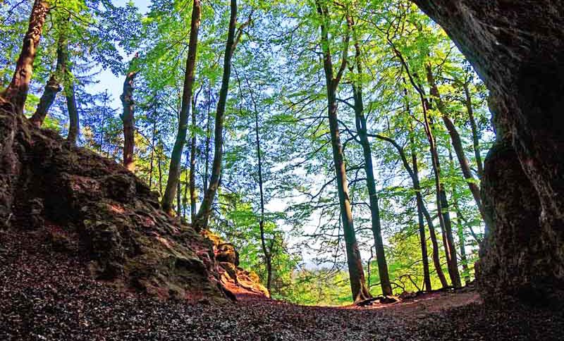 Rundwanderweg von Velden zur Petershöhle und Burg Hartenstein (Landkreis Nürnberger Land) 2 velden hartenstein petershöhle fränkische schweiz veldensteiner forst