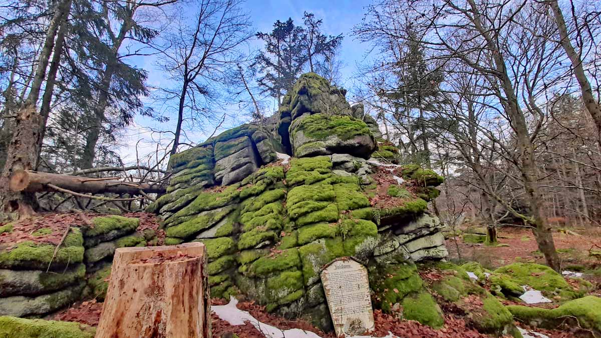 Waldhistorischer Lehrpfad im Naturpark Steinwald (Oberpfalz) 27 zipfeltannenfelsen steinwald erbendorf wandern pfaben
