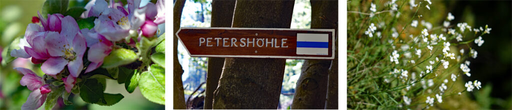 Rundwanderweg von Velden zur Petershöhle und Burg Hartenstein (Landkreis Nürnberger Land) 3 Wegweiser zur Petershöhle in Hartenstein im Nürnberger Land