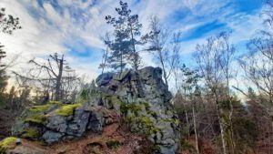 Waldhistorischer Lehrpfad im Naturpark Steinwald (Oberpfalz) 26 zipfeltannenfelsen waldhistorischer lehrpfad steinwald wandern bayern