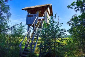 Romantisches Havelland - Rundweg von Ketzin nach Paretz 26 walderlebnispfad serrahn alte buchenwälder müritz nationalpark