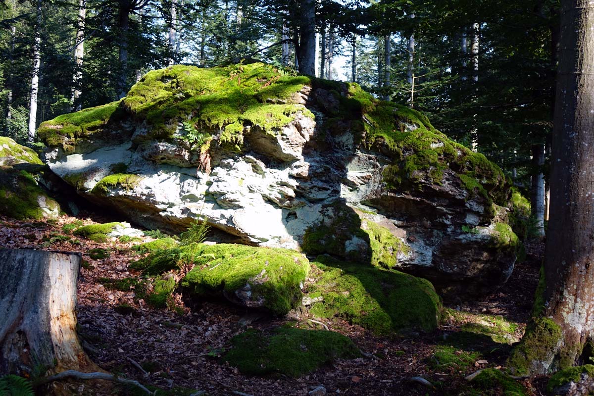 gesteins freigelände nationalpark bayerischer wald lusen neuschönau
