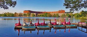 Wandertouren für Familien mit Kleinkindern in Mittelfranken - Buggy-taugliche Wanderwege - Teil 2 11 tretboot volkspark dutzendteich nürnberg buggy-taugliche