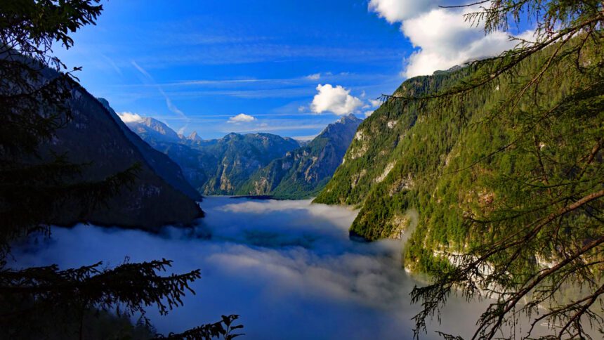 Ausblick Rabenwand auf den Königssee