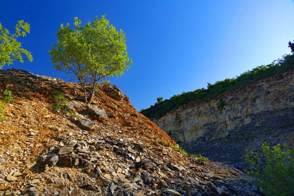 naturlehrpfad schernfeld obereichstätt geotop steinbruch