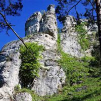 Die schönsten Wandertouren im Altmühltal: Naturlehrpfad Obereichstätt-Schernfeld 32 naturlehrpfad schernfeld obereichstätt altmühltal wandern