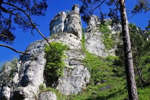 Zwölf Apostel und Bürgermeister-Müller-Museum 20 wandern altmühltal naturlehrpfad