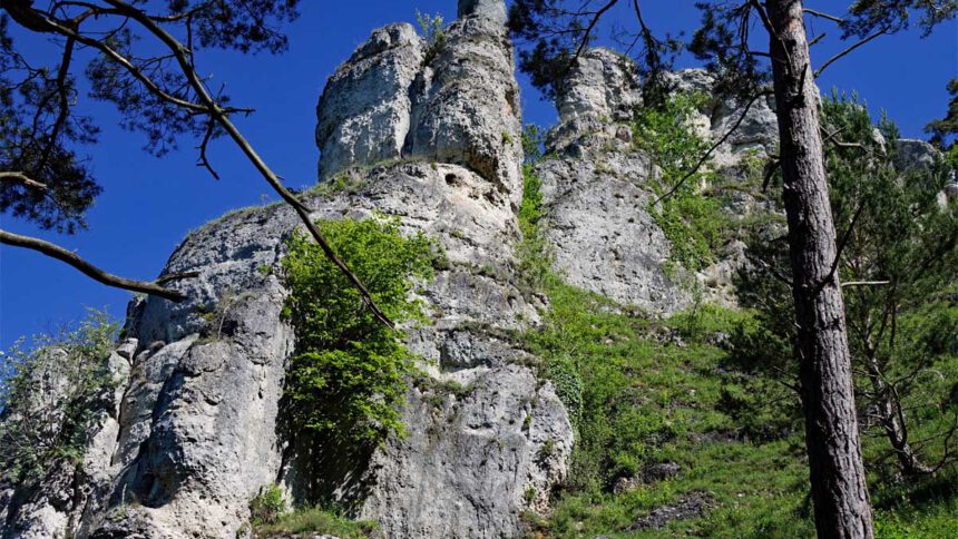 naturlehrpfad schernfeld obereichstätt altmühltal wandern