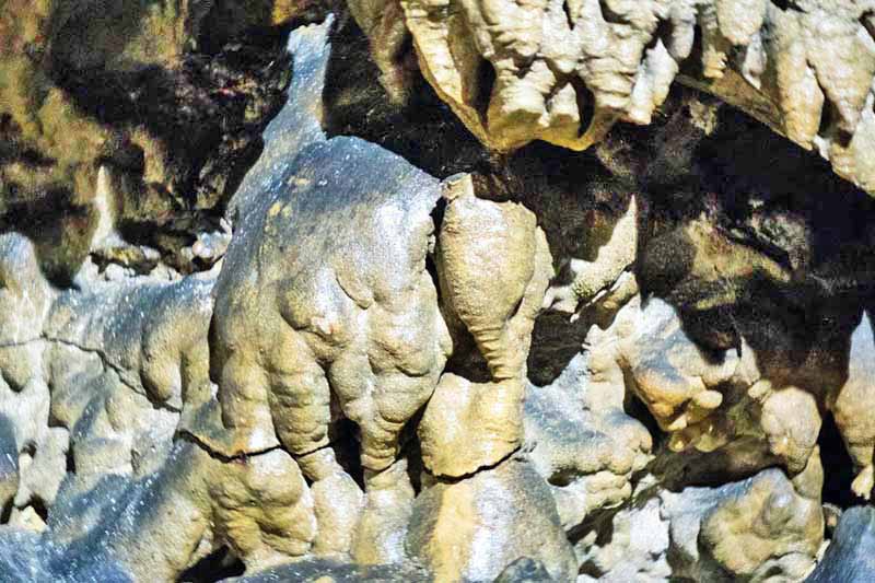 Eine der schönsten und größten Schauhöhlen in Deutschland - Maximiliansgrotte (Nürnberger Land) 6 elefant tropfstein maximiliansgrotte mittelfranken krottensee ausflug familie