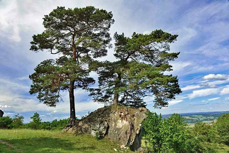 Wanderung auf den Berg der Franken - den Staffelberg 22 staffelberg wandern kinder abenteuer berg franken oberfranken obermain wanderberg
