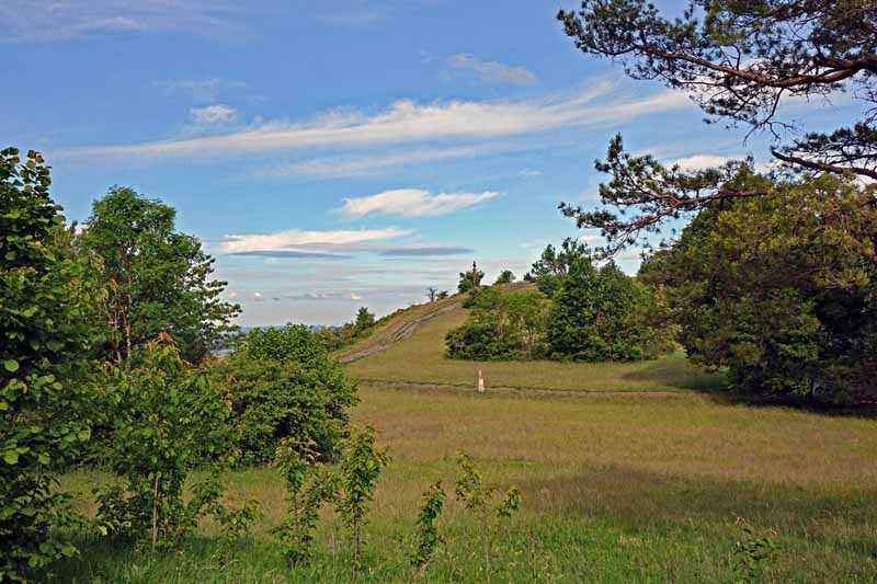 Wanderung auf den Berg der Franken - den Staffelberg 9 staffelberg wandern hochplateau oberfranken obermain rundweg kinder familie
