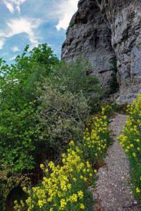 Wanderung auf den Berg der Franken - den Staffelberg 8 abstieg scheffelfelsen auf dem staffelberg oberfranken obermain staffelstein wanderung