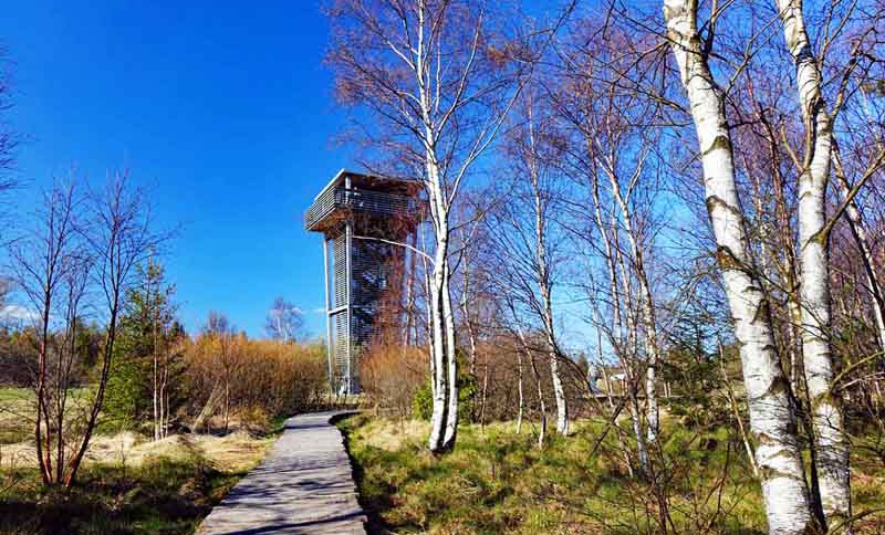 Burgen, Prismen und geheimnisvolle Labyrinthe - Die schönsten Geotope in Unterfranken 2 geotope unterfranken schwarzes moor