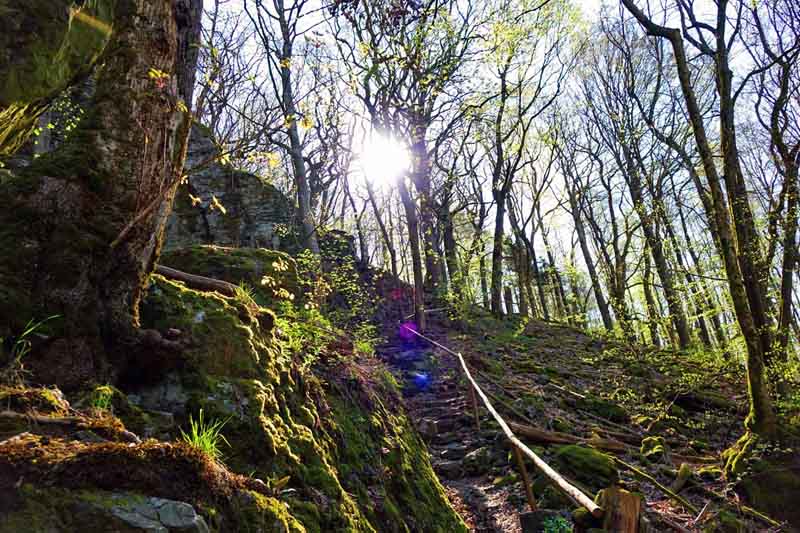 Burgen, Prismen und geheimnisvolle Labyrinthe - Die schönsten Geotope in Unterfranken 11 geotope bayern rhön unterfranken teufelskeller gangolfsberg wandern