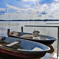 Sielmanns Naturlandschaft - Groß Schauener Seen (Brandenburg) 12 groß schauener seen storkow brandenburg sielmann