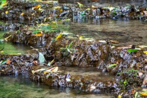 Rundwanderung durch das romantische Wiesenttal - Von der Streitburg zur Binghöhle (Fränkische Schweiz) 9 sinterterrassen streitberg landkreis forchheim fränkische schweiz