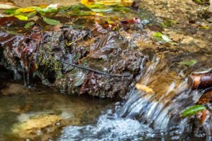 Rundwanderung durch das romantische Wiesenttal - Von der Streitburg zur Binghöhle (Fränkische Schweiz) 10 sinterterrassen fränkische schweiz streitberg