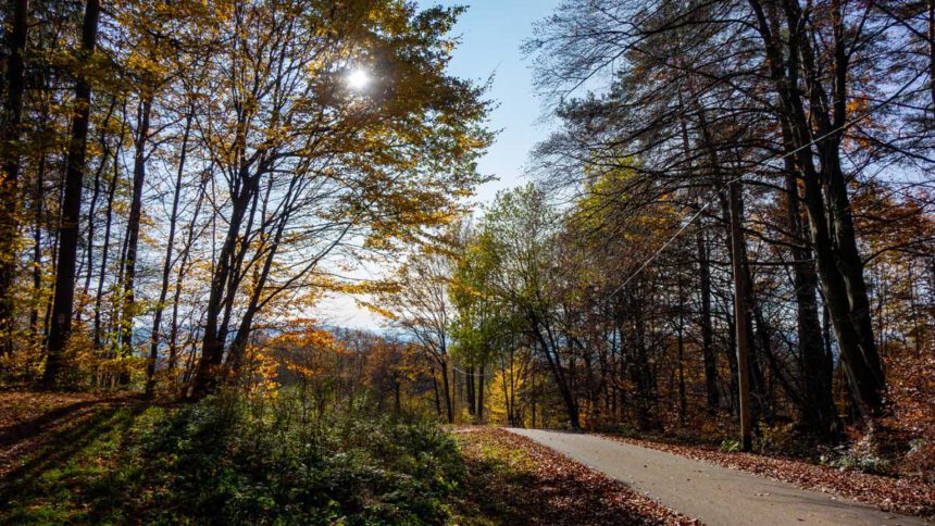 wanderung auf den moritzberg bei leinburg im nürnberger land