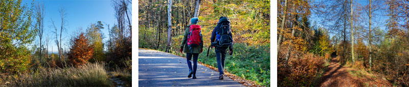 Rundwanderung auf den Moritzberg bei Leinburg (Landkreis Nürnberger Land) 14 rundweg moritzberg franken mittelfranken bayern herbst familie kinder kraxe