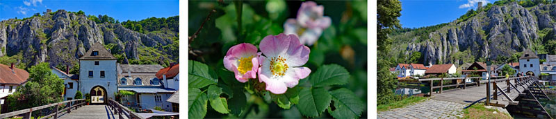 Erlebnispfad Juralandschaft in Essing (Altmühltal) 4 brücke essing altmühltal kelheim erlebnispfad juralandschaft wandern kinder
