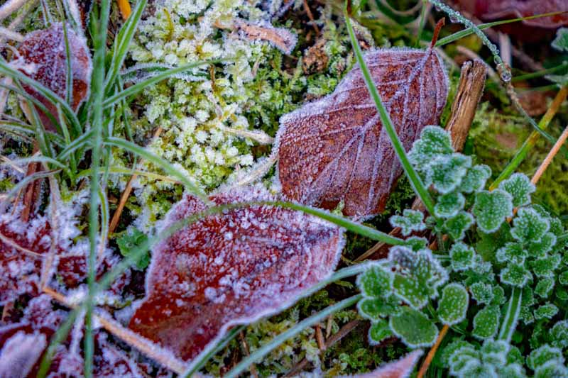 Rundwanderung auf den Moritzberg bei Leinburg (Landkreis Nürnberger Land) 15 wanderung moritzberg nürnberger land mittelfranken bayern kinder familie