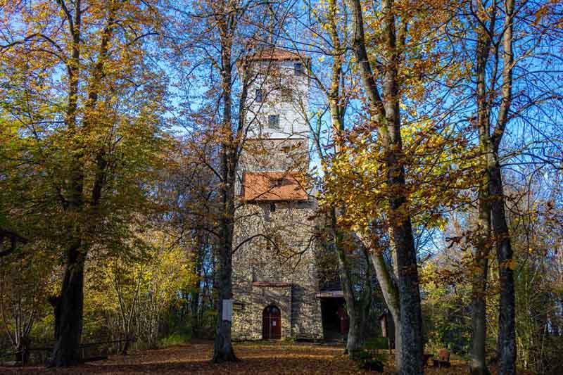 Rundwanderung auf den Moritzberg bei Leinburg (Landkreis Nürnberger Land) 5 wandern bayern franken mittelfranken moritzberg turm hindenburgturm