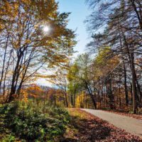 Rundwanderung auf den Moritzberg bei Leinburg (Landkreis Nürnberger Land) 9 wanderung auf den moritzberg bei leinburg im nürnberger land