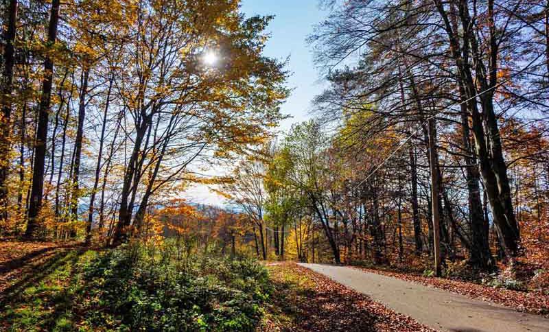 Rundwanderung auf den Moritzberg bei Leinburg (Landkreis Nürnberger Land) 2 wanderung auf den moritzberg bei leinburg im nürnberger land