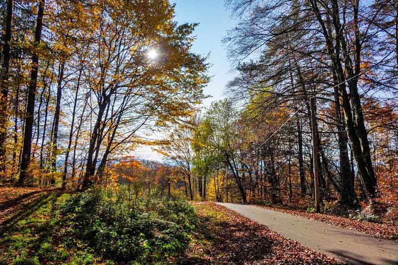 Fränkische Wanderberge - Wandertouren auf die schönsten Gipfel der Franken - Teil 1 10 wanderung auf den moritzberg bei leinburg im nürnberger land