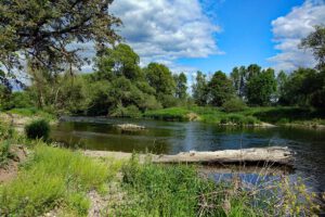 Baumwipfelpfad Steigerwald (Landkreis Bamberg) 23 naturerlebnisweg baunach südsee bei bamberg haßberge